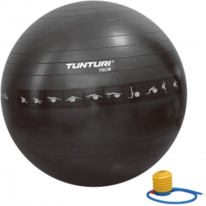 Tunturi 75 cm Gymnastikball reissfest Schwarz