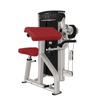 Life Fitness BIZEPS/TRICEPS AXIOM-SERIE