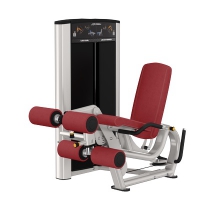 Life Fitness LEG EXTENSION/LEG CURL AXIOM-SERIE