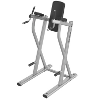 Life Fitness DIP/LEG RAISE AXIOM-SERIE