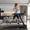 Tunturi Laufband Endurance T80