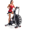 Schwinn Airdyne Bike AD8