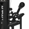 Tunturi Platinum Dual Back/Abdominal mit Gewichtsstapel