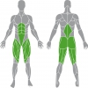 Tunturi Platinum Hip Thrust/Hüfttrainer Plate Loaded