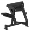 Tunturi Platinum Preacher Curl Plate Loaded