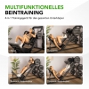 Tunturi Leg Press/Hack Squat LP60